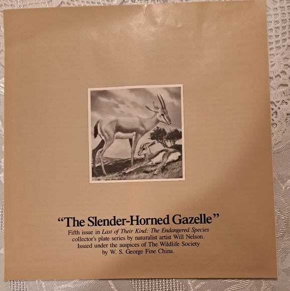 Decorator plate - Picture 4 of 4